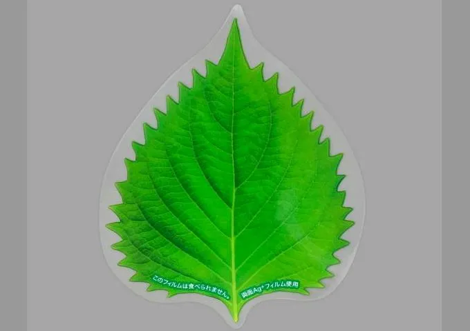 bagsPB-19.webp