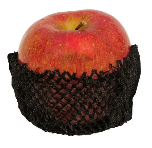 fruitscapcolor-1.webp