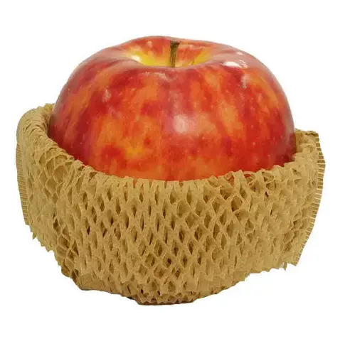 fruitscapcolor-3.webp
