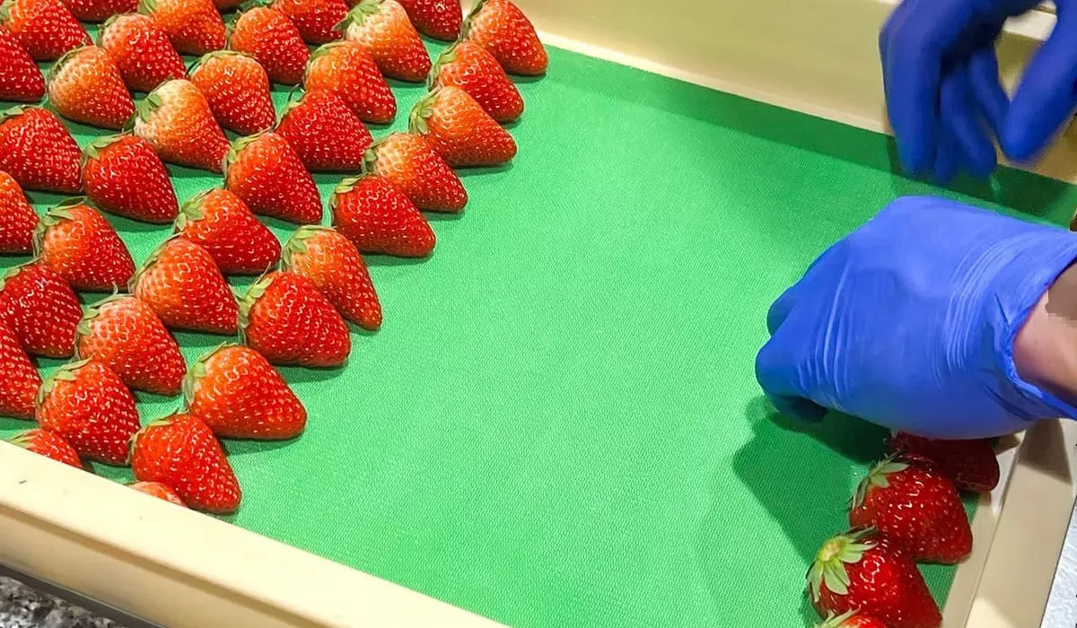 洋菓子の廃棄ロス対策！吸水シートで品質とコストを改善